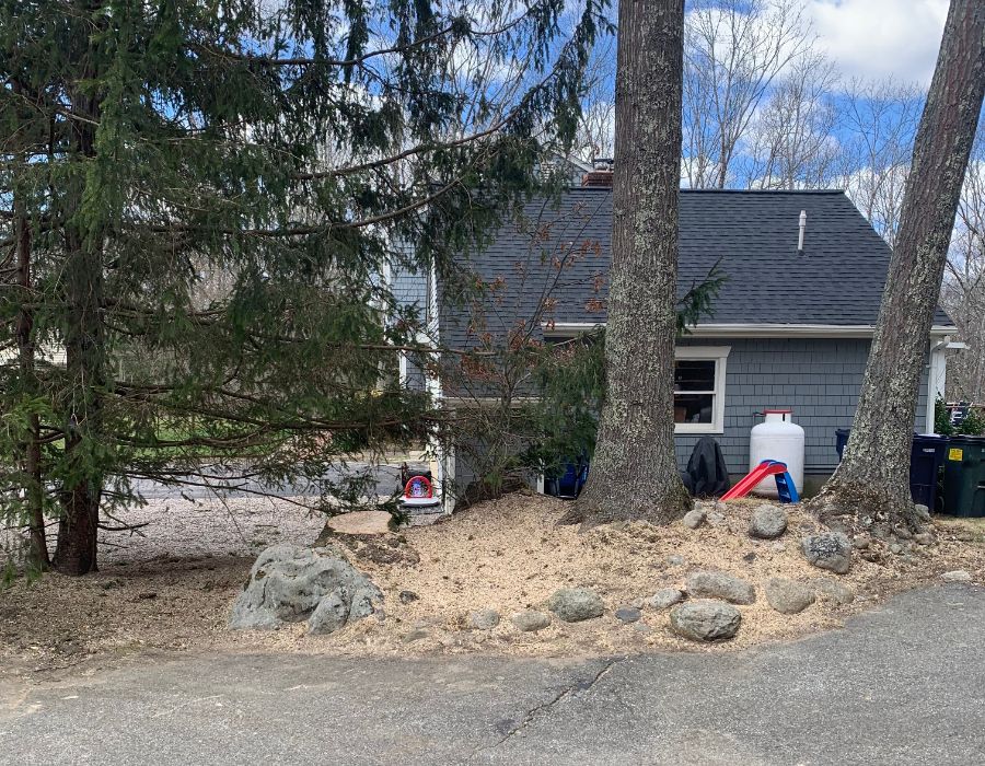 tree service near me-005